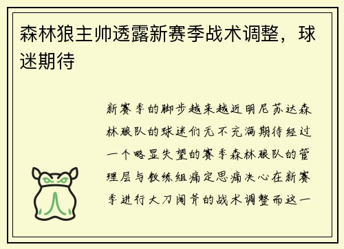 森林狼主帅透露新赛季战术调整，球迷期待